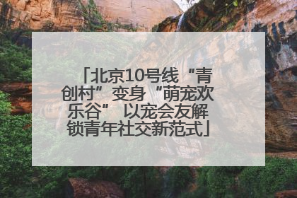 北京10号线“青创村”变身“萌宠欢乐谷” 以宠会友解锁青年社交新范式