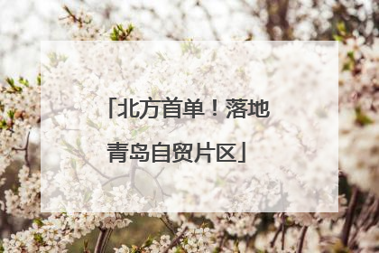 北方首单！落地青岛自贸片区