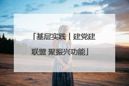 基层实践丨建党建联盟 聚振兴功能