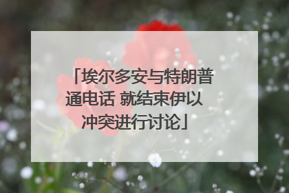 埃尔多安与特朗普通电话 就结束伊以冲突进行讨论