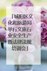 城阳区文化和旅游局举行文旅行业安全生产暨法律法规培训会