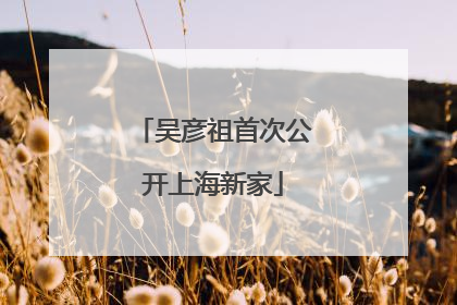 吴彦祖首次公开上海新家