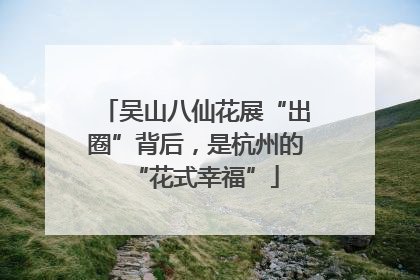 吴山八仙花展“出圈”背后，是杭州的“花式幸福”