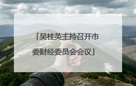 吴桂英主持召开市委财经委员会会议