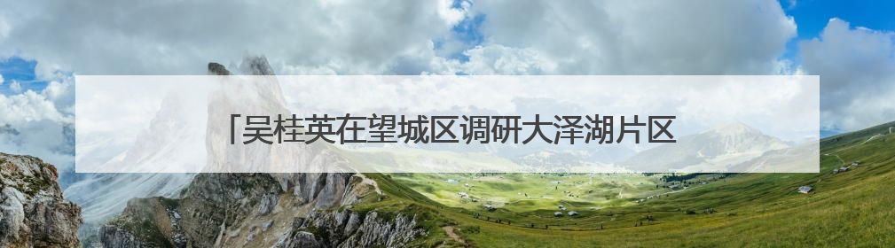 吴桂英在望城区调研大泽湖片区建设、文科旅医融合发展等工作