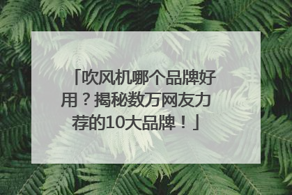吹风机哪个品牌好用？揭秘数万网友力荐的10大品牌！