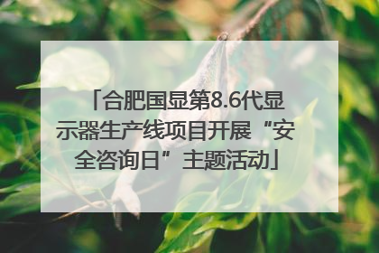 合肥国显第8.6代显示器生产线项目开展“安全咨询日”主题活动