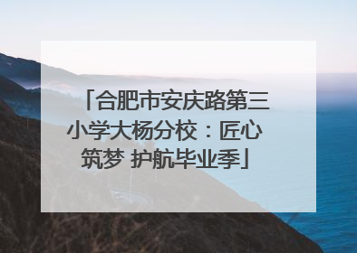 合肥市安庆路第三小学大杨分校：匠心筑梦 护航毕业季