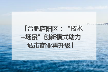 合肥庐阳区：“技术+场景”创新模式助力城市商业再升级