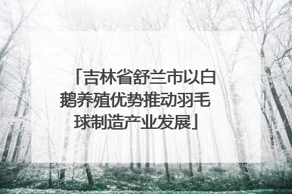 吉林省舒兰市以白鹅养殖优势推动羽毛球制造产业发展
