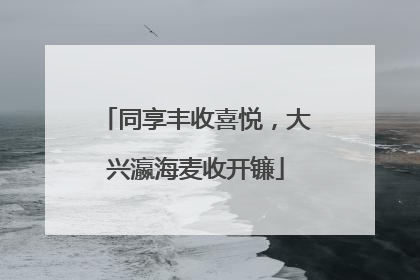 同享丰收喜悦，大兴瀛海麦收开镰