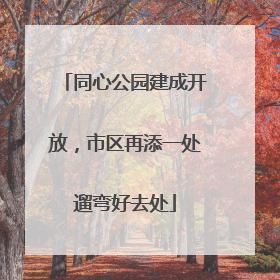 同心公园建成开放，市区再添一处遛弯好去处