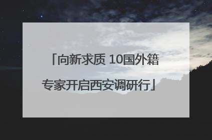 向新求质 10国外籍专家开启西安调研行