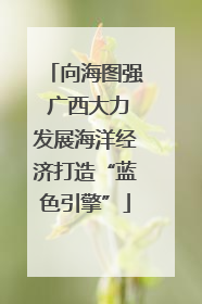 向海图强 广西大力发展海洋经济打造“蓝色引擎”