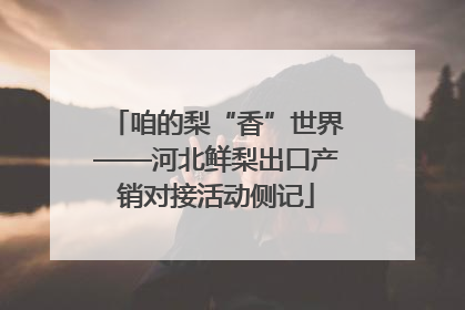 咱的梨“香”世界——河北鲜梨出口产销对接活动侧记