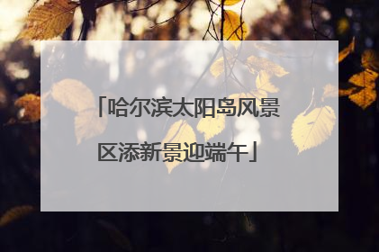 哈尔滨太阳岛风景区添新景迎端午