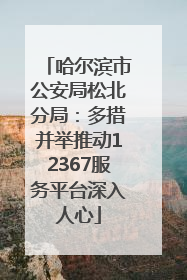 哈尔滨市公安局松北分局：多措并举推动12367服务平台深入人心