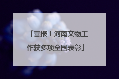 喜报！河南文物工作获多项全国表彰