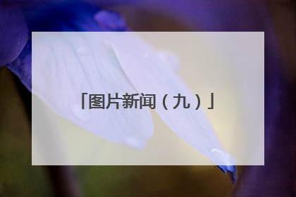 图片新闻（九）