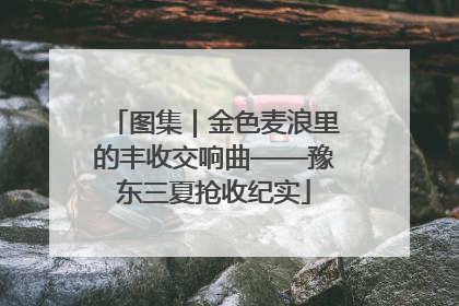 图集｜金色麦浪里的丰收交响曲——豫东三夏抢收纪实