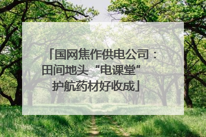 国网焦作供电公司：田间地头“电课堂” 护航药材好收成