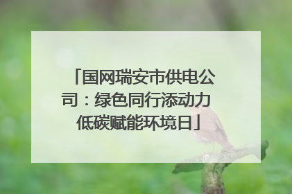 国网瑞安市供电公司：绿色同行添动力 低碳赋能环境日