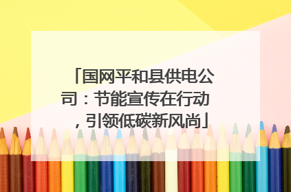 国网平和县供电公司：节能宣传在行动，引领低碳新风尚
