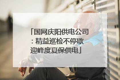 国网庆阳供电公司：精益巡检不停歇 迎峰度夏保供电