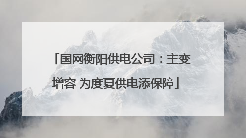 国网衡阳供电公司：主变增容 为度夏供电添保障