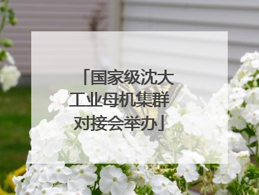 国家级沈大工业母机集群对接会举办