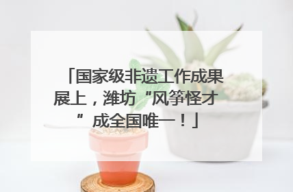 国家级非遗工作成果展上，潍坊“风筝怪才”成全国唯一！