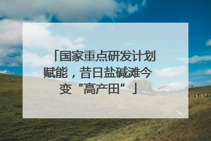 国家重点研发计划赋能，昔日盐碱滩今变“高产田”