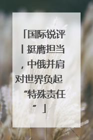 国际锐评丨挺膺担当，中俄并肩对世界负起“特殊责任”
