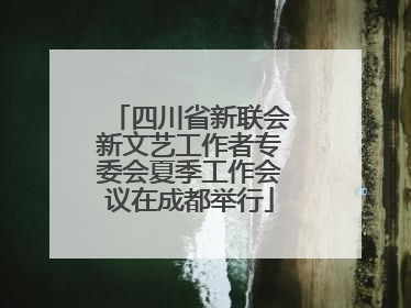 四川省新联会新文艺工作者专委会夏季工作会议在成都举行