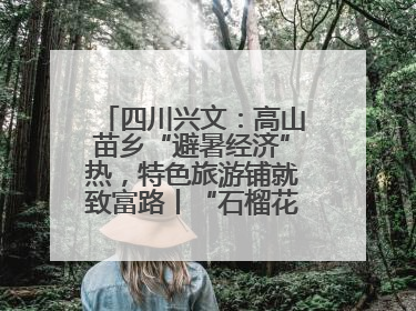 四川兴文：高山苗乡“避暑经济”热，特色旅游铺就致富路丨“石榴花开”四川行⑧