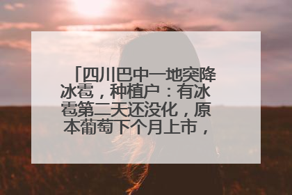 四川巴中一地突降冰雹，种植户：有冰雹第二天还没化，原本葡萄下个月上市，现在全被打落