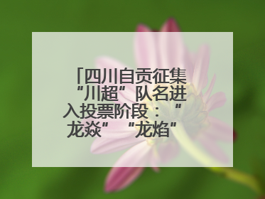 四川自贡征集“川超”队名进入投票阶段：“龙焱”“龙焰”暂居一二名
