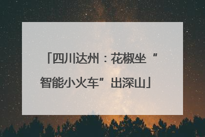 四川达州：花椒坐“智能小火车”出深山