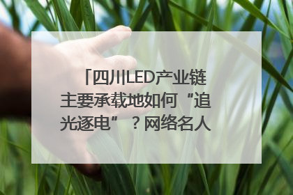 四川LED产业链主要承载地如何“追光逐电”？网络名人走进攀枝花找答案｜网络名人四川行