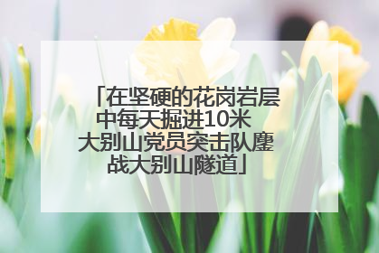 在坚硬的花岗岩层中每天掘进10米 大别山党员突击队鏖战大别山隧道