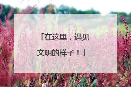 在这里，遇见文明的样子！