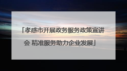 孝感市开展政务服务政策宣讲会 精准服务助力企业发展