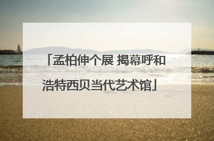 孟柏伸个展 揭幕呼和浩特西贝当代艺术馆