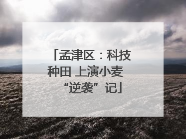 孟津区：科技种田 上演小麦“逆袭”记