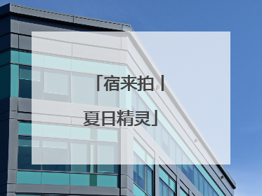 宿来拍丨夏日精灵