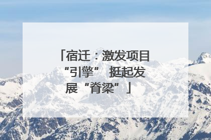 宿迁：激发项目“引擎” 挺起发展“脊梁”