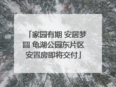 家园有期 安居梦圆 龟湖公园东片区安置房即将交付