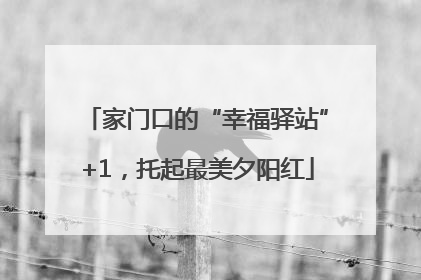 家门口的“幸福驿站”+1，托起最美夕阳红