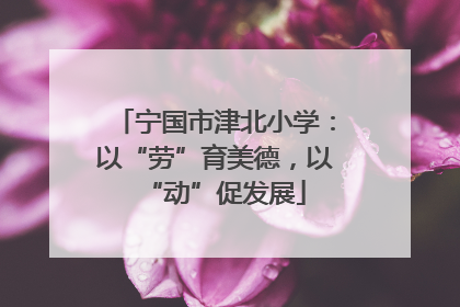 宁国市津北小学：以“劳”育美德，以“动”促发展