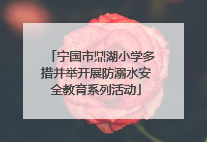 宁国市鼎湖小学多措并举开展防溺水安全教育系列活动